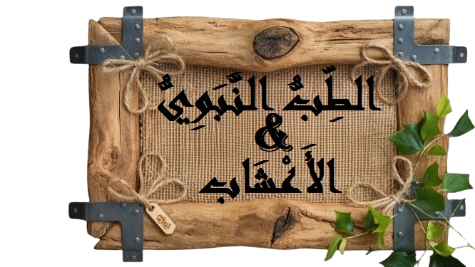 Button_ar7